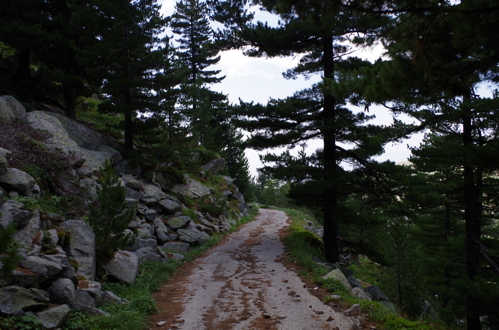 Натиснете снимката за да я уголемите

Име:IMGP0823.jpg
Прегледи:1
Размер:356.1 КБ
ID:5511116