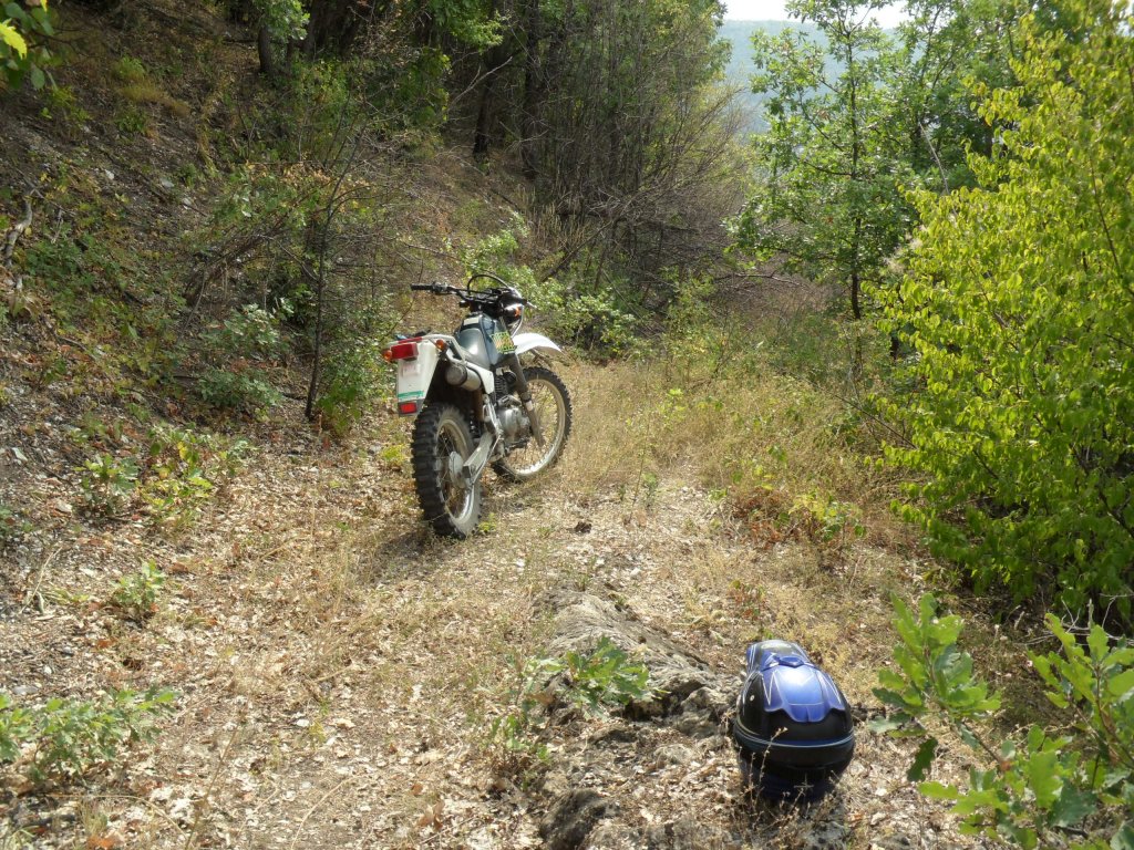 Натиснете снимката за да я уголемите

Име:SAM_0125.jpg
Прегледи:1
Размер:314.7 КБ
ID:5513512