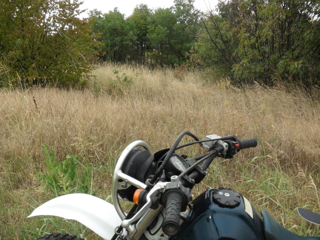 Натиснете снимката за да я уголемите

Име:SAM_0122.jpg
Прегледи:1
Размер:240.9 КБ
ID:5513513