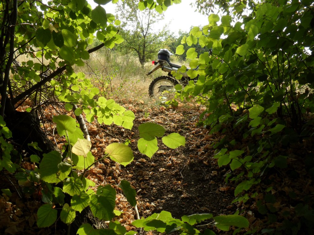 Натиснете снимката за да я уголемите

Име:SAM_0123.jpg
Прегледи:1
Размер:234.3 КБ
ID:5513514