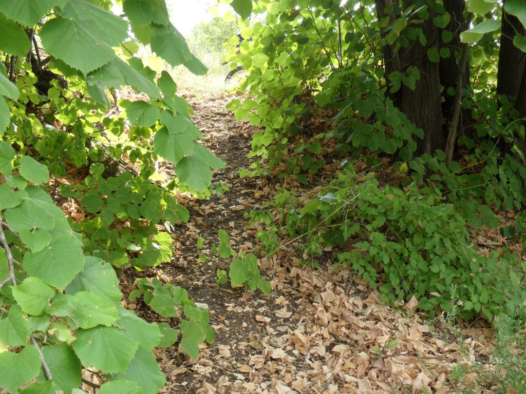 Натиснете снимката за да я уголемите

Име:SAM_0124.jpg
Прегледи:1
Размер:236.8 КБ
ID:5513515