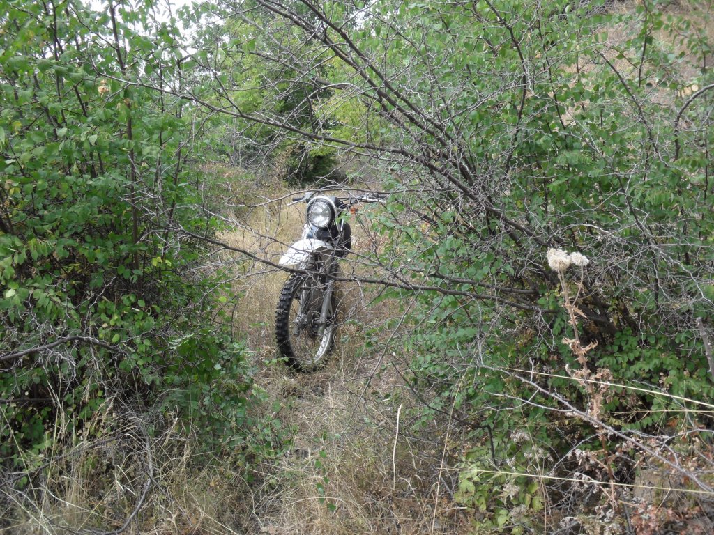 Натиснете снимката за да я уголемите

Име:SAM_0131.jpg
Прегледи:1
Размер:314.8 КБ
ID:5513516