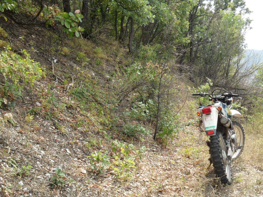 Натиснете снимката за да я уголемите

Име:SAM_0126.jpg
Прегледи:1
Размер:322.9 КБ
ID:5513517