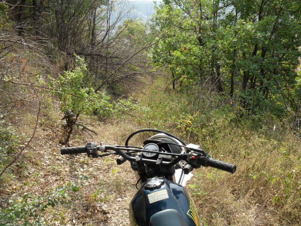 Натиснете снимката за да я уголемите

Име:SAM_0127.jpg
Прегледи:1
Размер:314.6 КБ
ID:5513518