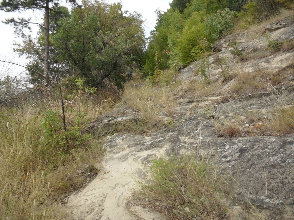 Натиснете снимката за да я уголемите

Име:SAM_0142.jpg
Прегледи:1
Размер:255.3 КБ
ID:5513522