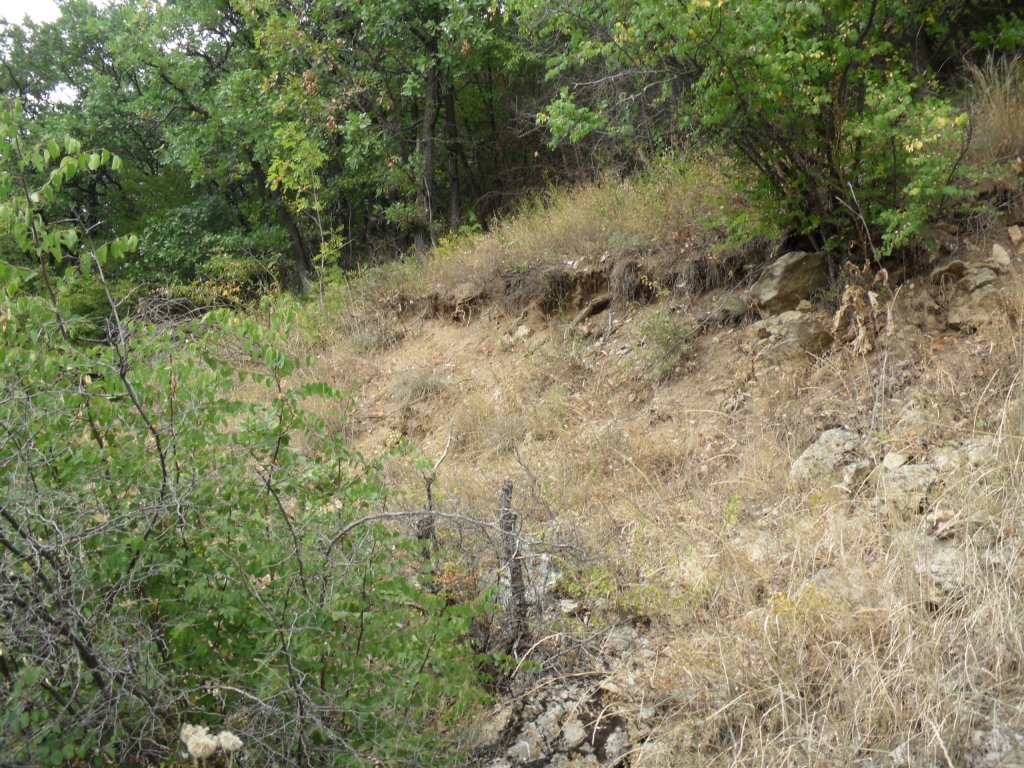 Натиснете снимката за да я уголемите

Име:SAM_0133.jpg
Прегледи:1
Размер:266.7 КБ
ID:5513524