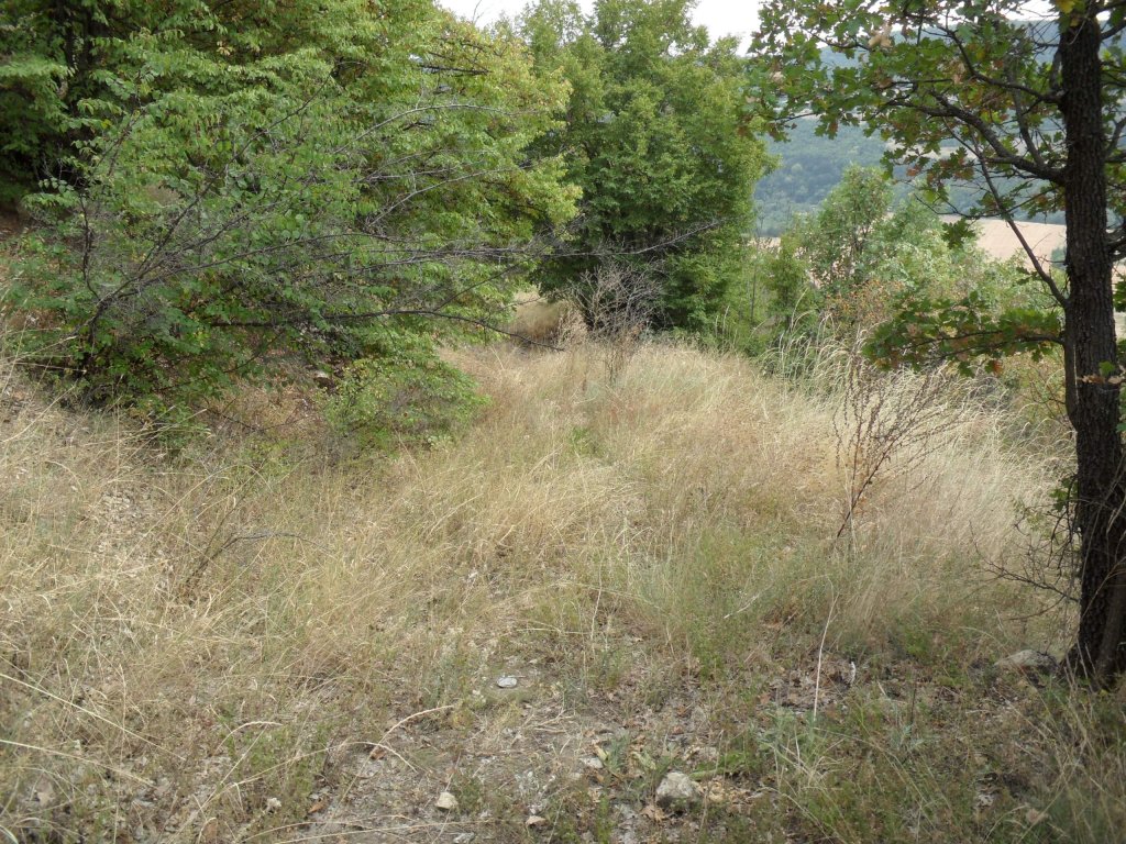 Натиснете снимката за да я уголемите

Име:SAM_0134.jpg
Прегледи:1
Размер:280.5 КБ
ID:5513525