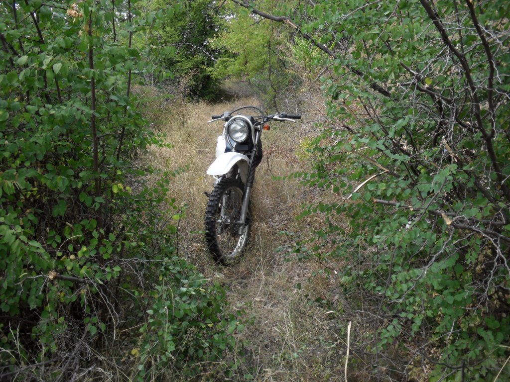 Натиснете снимката за да я уголемите

Име:SAM_0135.jpg
Прегледи:1
Размер:264.8 КБ
ID:5513526