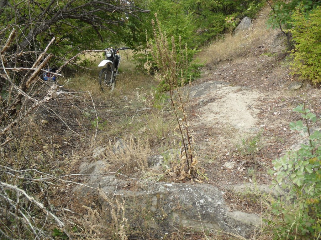 Натиснете снимката за да я уголемите

Име:SAM_0136.jpg
Прегледи:1
Размер:292.2 КБ
ID:5513528