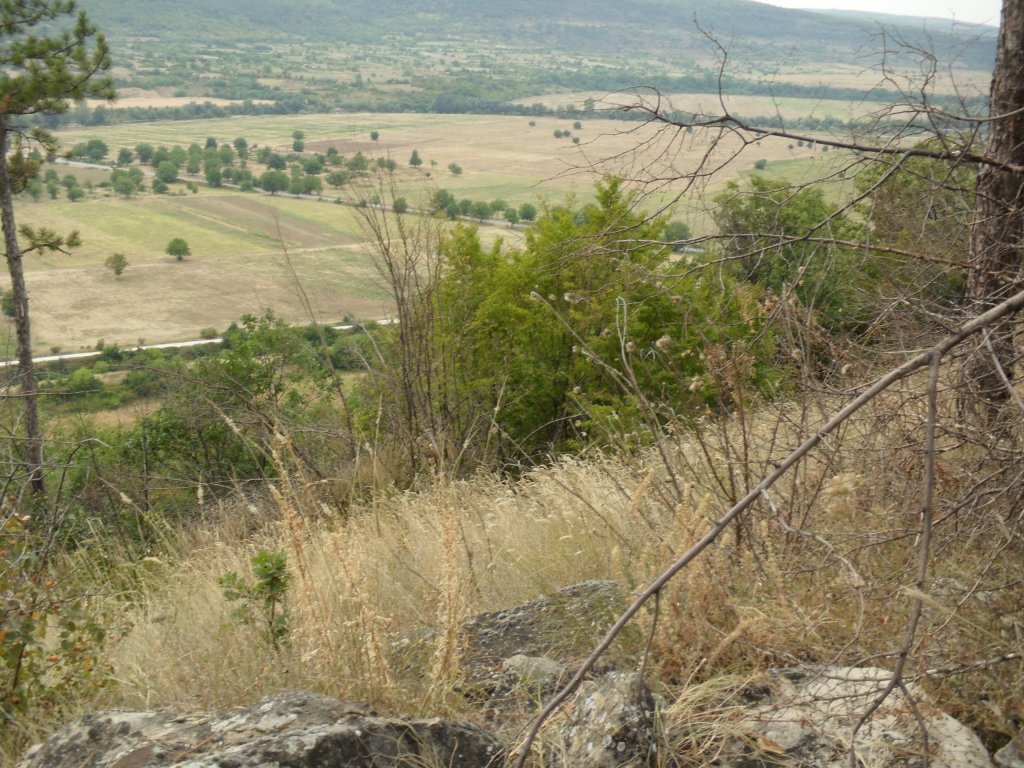 Натиснете снимката за да я уголемите

Име:SAM_0137.jpg
Прегледи:1
Размер:212.1 КБ
ID:5513529