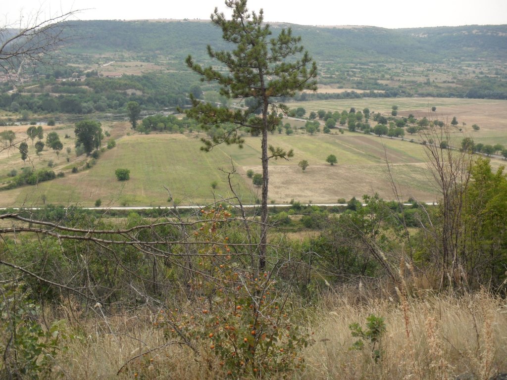 Натиснете снимката за да я уголемите

Име:SAM_0138.jpg
Прегледи:1
Размер:212.0 КБ
ID:5513530