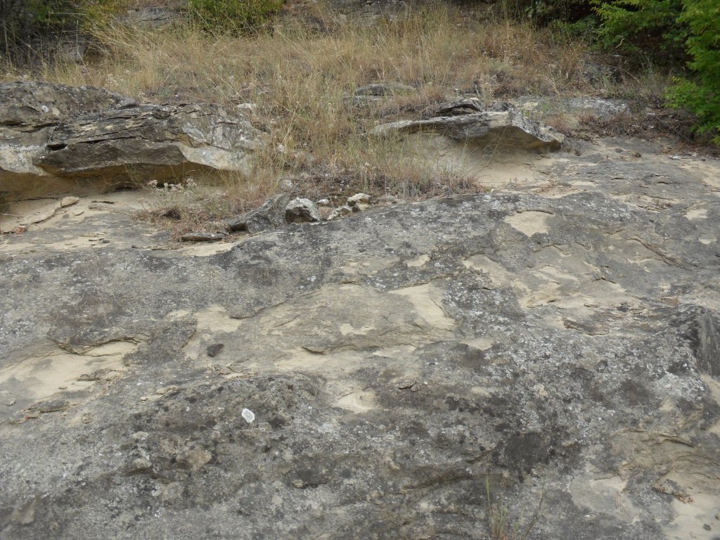 Натиснете снимката за да я уголемите

Име:SAM_0139.jpg
Прегледи:1
Размер:234.9 КБ
ID:5513531