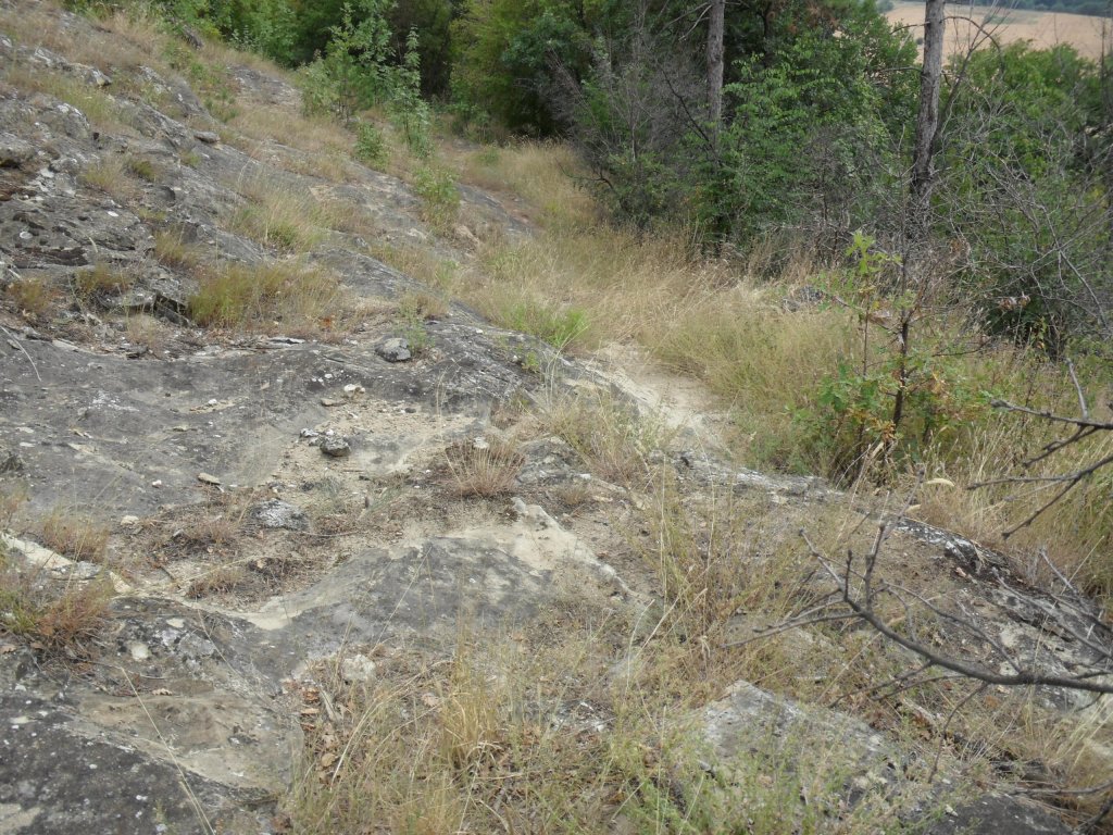 Натиснете снимката за да я уголемите

Име:SAM_0140.jpg
Прегледи:1
Размер:254.8 КБ
ID:5513532