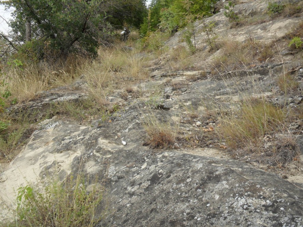 Натиснете снимката за да я уголемите

Име:SAM_0141.jpg
Прегледи:1
Размер:269.1 КБ
ID:5513533