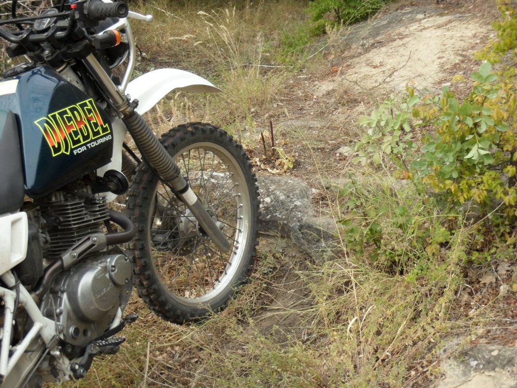 Натиснете снимката за да я уголемите

Име:SAM_0145.jpg
Прегледи:1
Размер:247.7 КБ
ID:5513536