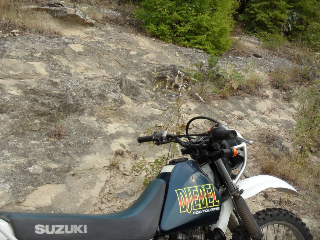 Натиснете снимката за да я уголемите

Име:SAM_0146.jpg
Прегледи:1
Размер:224.9 КБ
ID:5513537