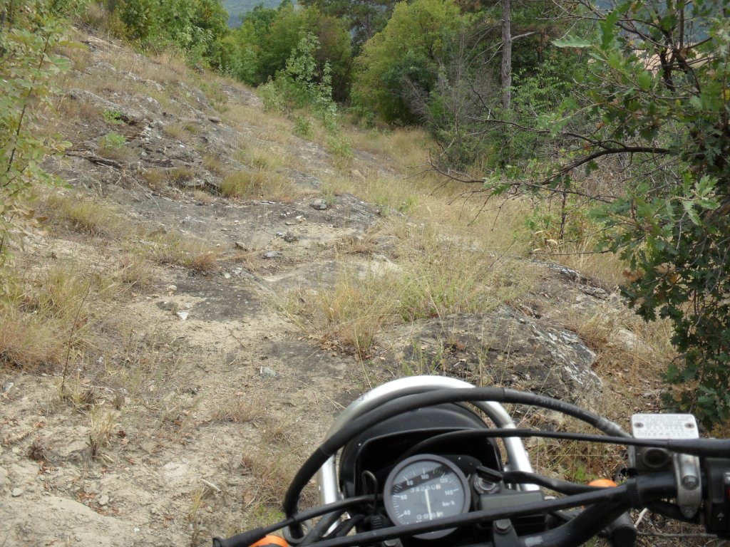 Натиснете снимката за да я уголемите

Име:SAM_0147.jpg
Прегледи:1
Размер:246.3 КБ
ID:5513538