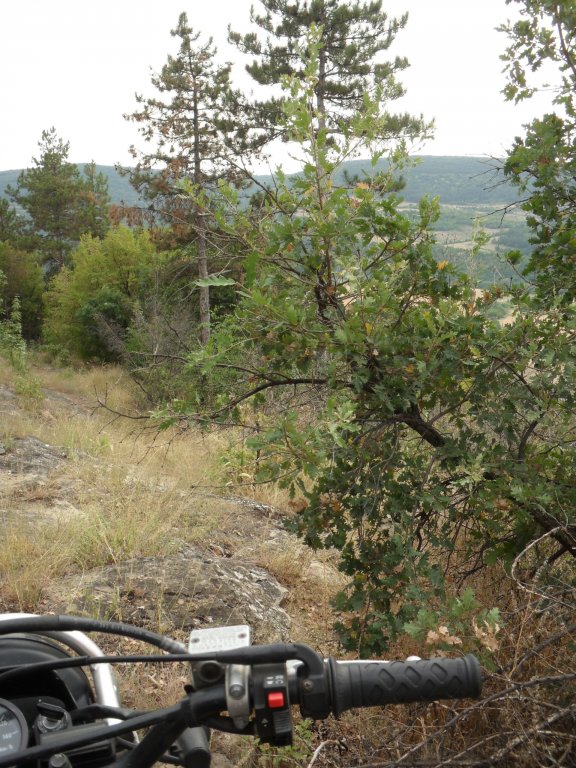 Натиснете снимката за да я уголемите

Име:SAM_0148.jpg
Прегледи:1
Размер:142.5 КБ
ID:5513539