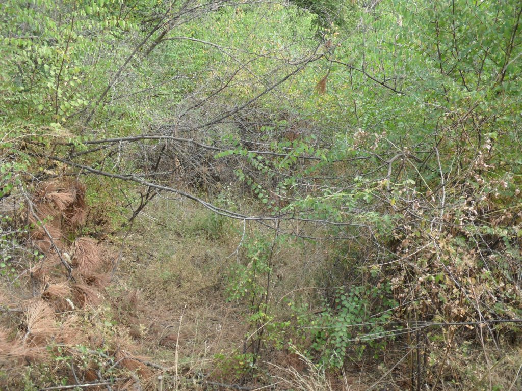 Натиснете снимката за да я уголемите

Име:SAM_0152.jpg
Прегледи:1
Размер:306.1 КБ
ID:5513540