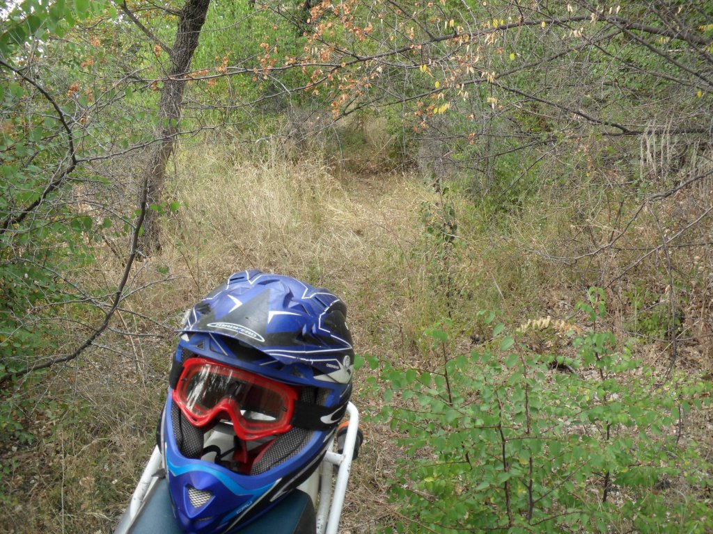 Натиснете снимката за да я уголемите

Име:SAM_0150.jpg
Прегледи:1
Размер:283.3 КБ
ID:5513541