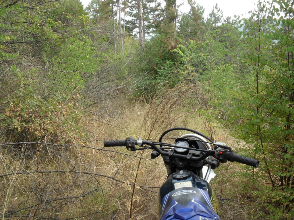 Натиснете снимката за да я уголемите

Име:SAM_0151.jpg
Прегледи:1
Размер:284.7 КБ
ID:5513542