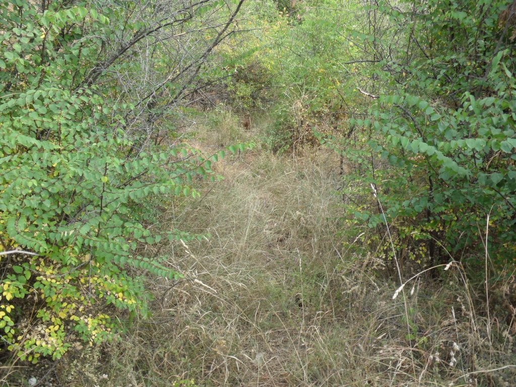 Натиснете снимката за да я уголемите

Име:SAM_0153.jpg
Прегледи:1
Размер:287.8 КБ
ID:5513544