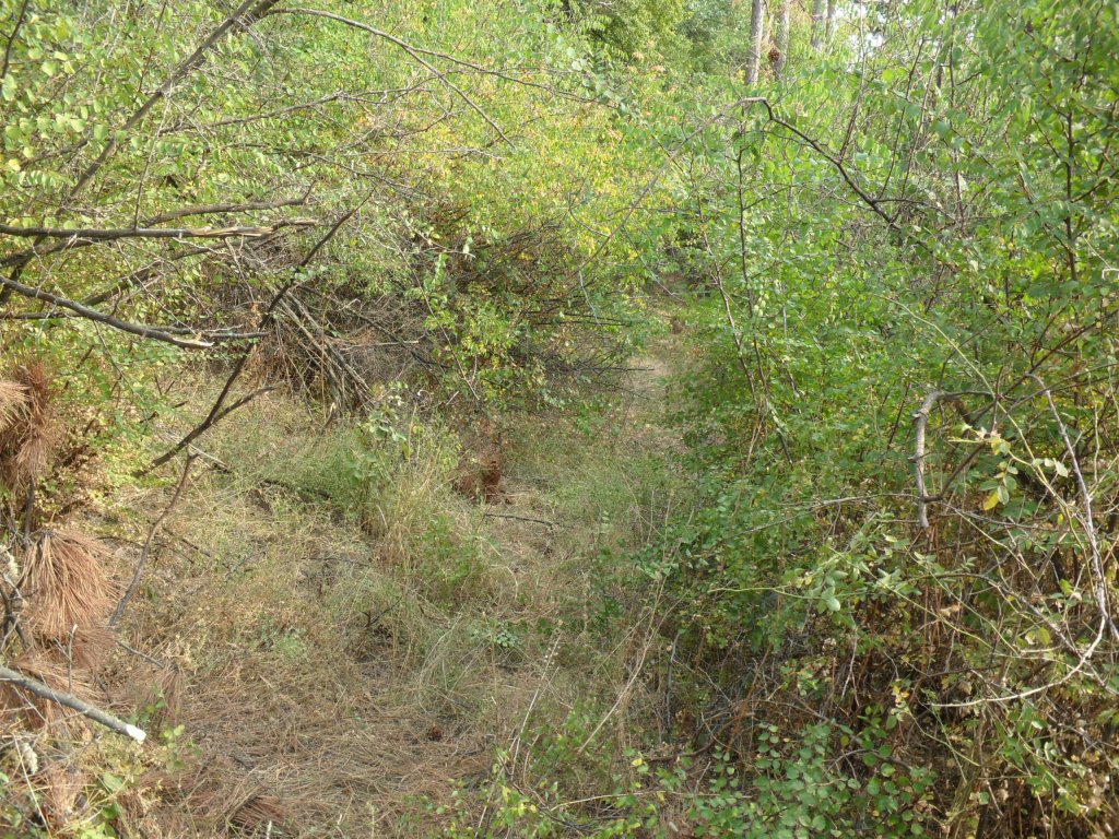 Натиснете снимката за да я уголемите

Име:SAM_0156.jpg
Прегледи:1
Размер:328.1 КБ
ID:5513547