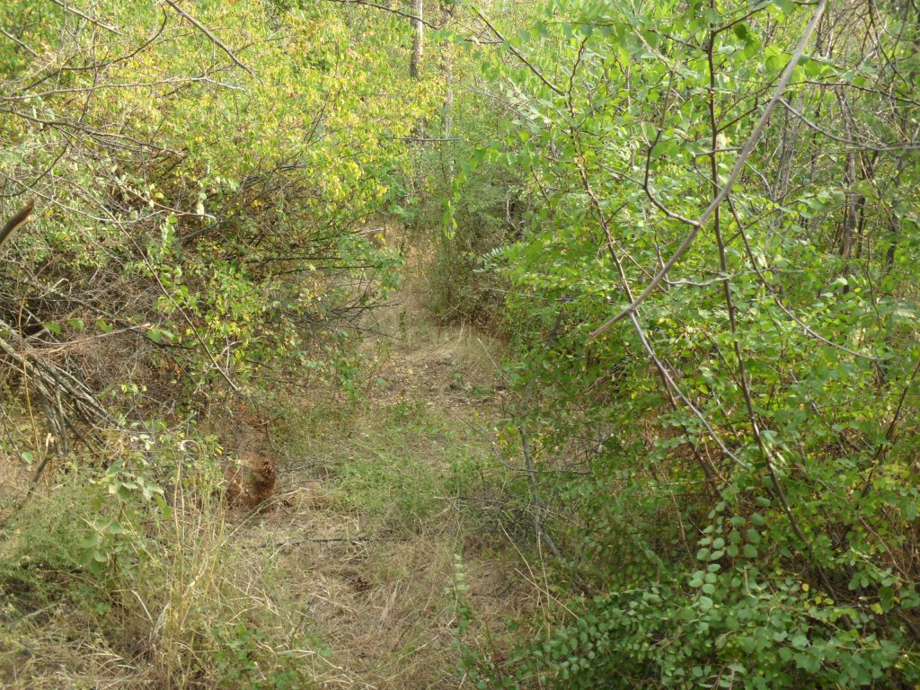 Натиснете снимката за да я уголемите

Име:SAM_0157.jpg
Прегледи:1
Размер:309.1 КБ
ID:5513548