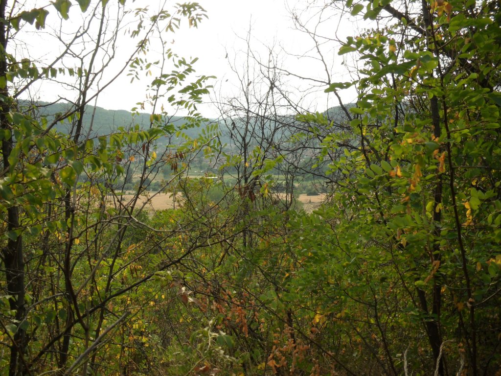 Натиснете снимката за да я уголемите

Име:SAM_0158.jpg
Прегледи:1
Размер:251.3 КБ
ID:5513549