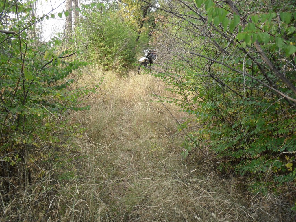 Натиснете снимката за да я уголемите

Име:SAM_0159.jpg
Прегледи:1
Размер:293.6 КБ
ID:5513550