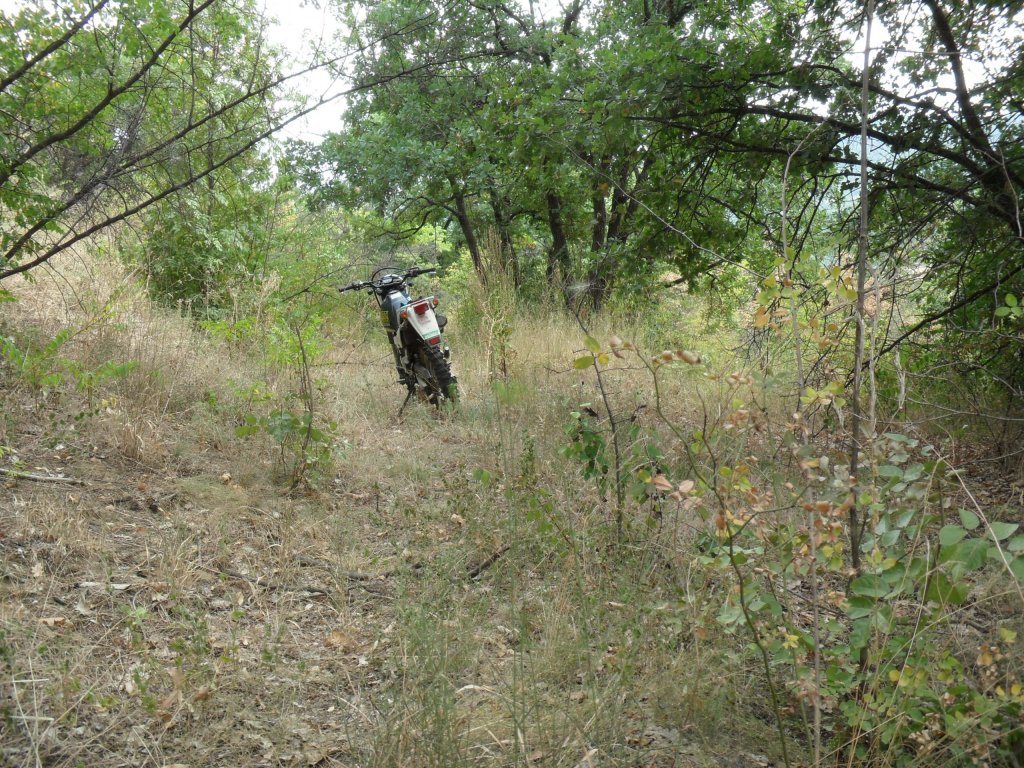 Натиснете снимката за да я уголемите

Име:SAM_0160.jpg
Прегледи:1
Размер:298.3 КБ
ID:5513551