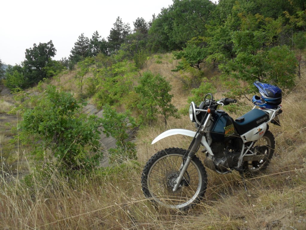 Натиснете снимката за да я уголемите

Име:SAM_0165.jpg
Прегледи:1
Размер:225.3 КБ
ID:5513552