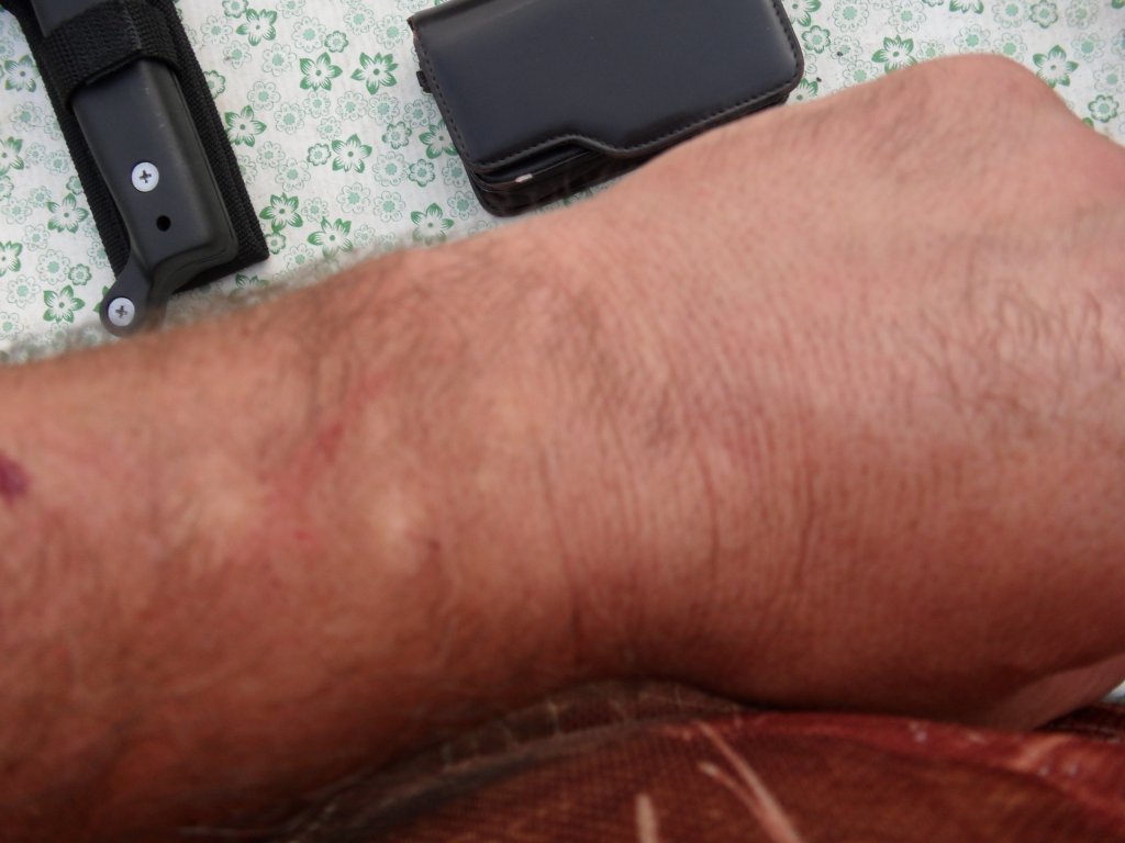 Натиснете снимката за да я уголемите

Име:SAM_0168.jpg
Прегледи:1
Размер:83.1 КБ
ID:5513556