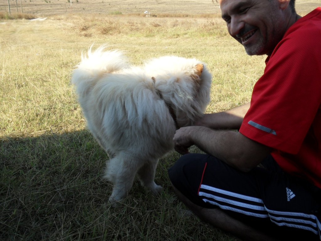 Натиснете снимката за да я уголемите

Име:SAM_0179.jpg
Прегледи:1
Размер:158.4 КБ
ID:5514708