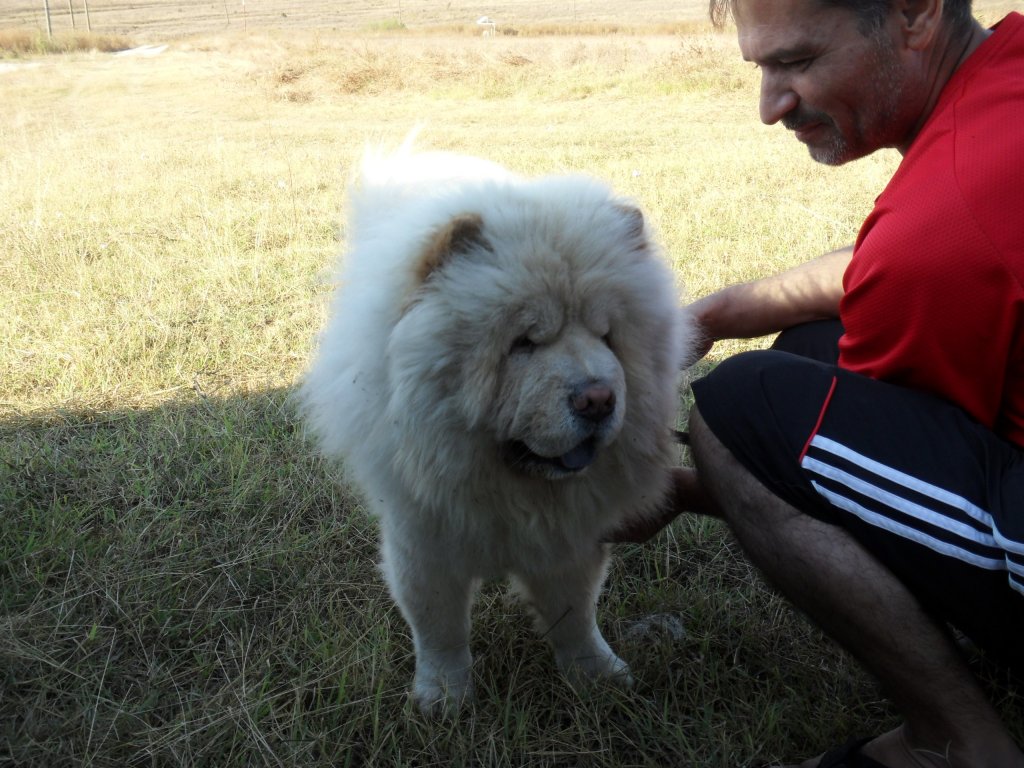 Натиснете снимката за да я уголемите

Име:SAM_0180.jpg
Прегледи:1
Размер:166.4 КБ
ID:5514709