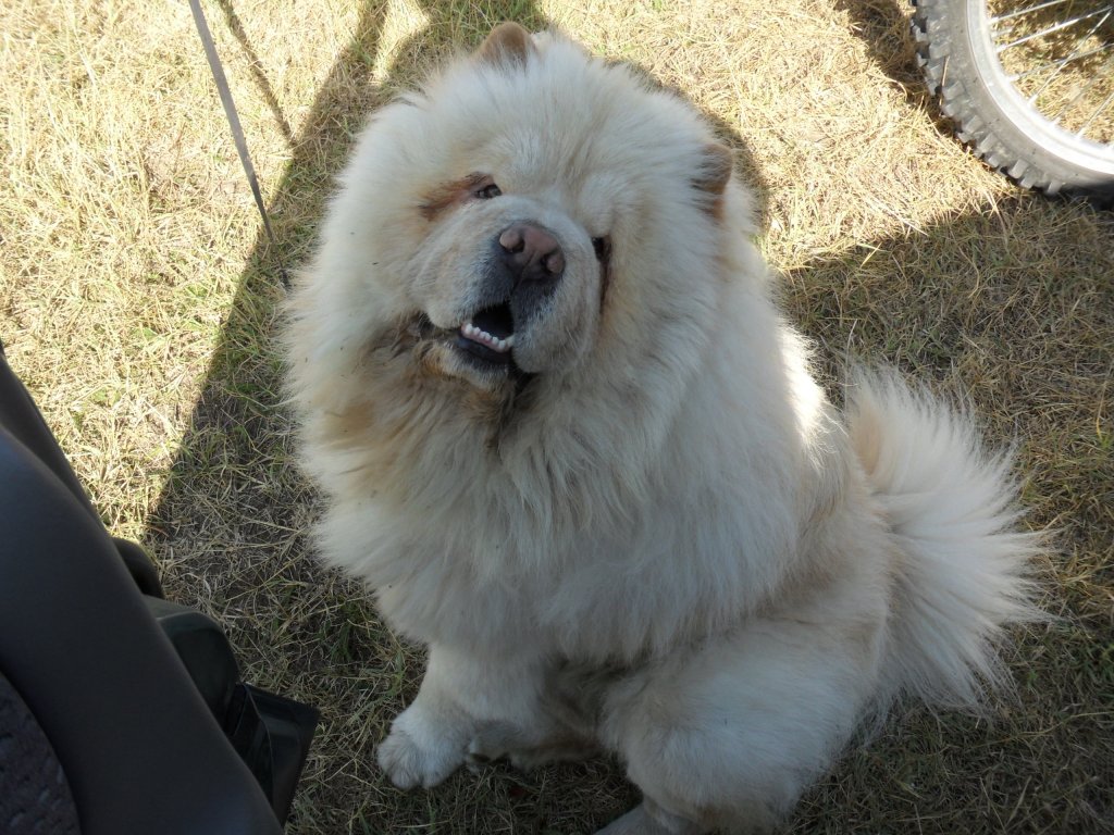 Натиснете снимката за да я уголемите

Име:SAM_0199.jpg
Прегледи:1
Размер:196.2 КБ
ID:5514723