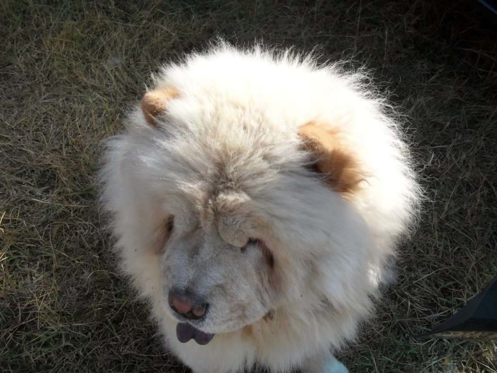 Натиснете снимката за да я уголемите

Име:SAM_0197.jpg
Прегледи:1
Размер:162.2 КБ
ID:5514724