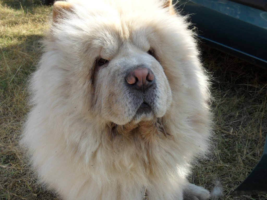 Натиснете снимката за да я уголемите

Име:SAM_0198.jpg
Прегледи:1
Размер:145.6 КБ
ID:5514725