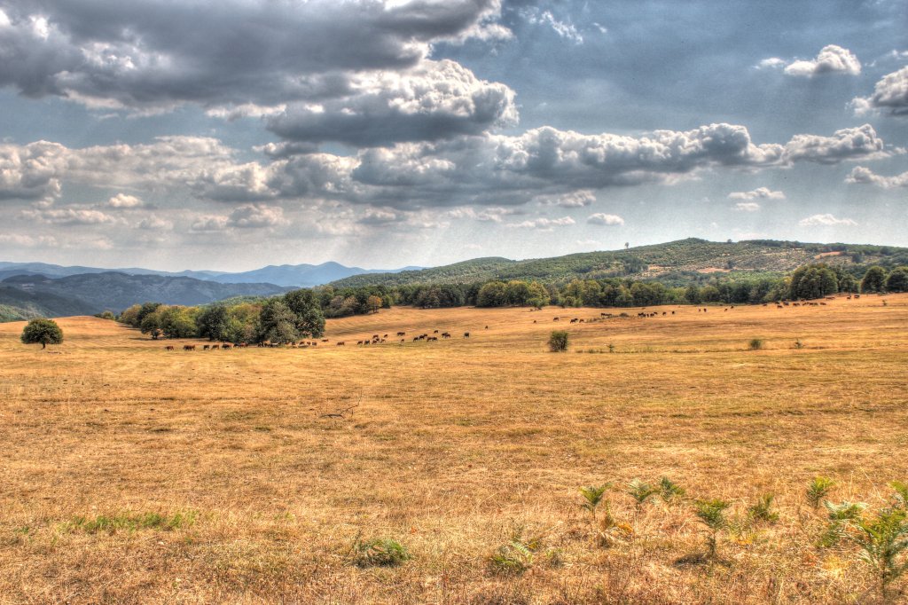 Натиснете снимката за да я уголемите

Име:IMG_7384_5_6_tonemapped.jpg
Прегледи:1
Размер:194.9 КБ
ID:6024691