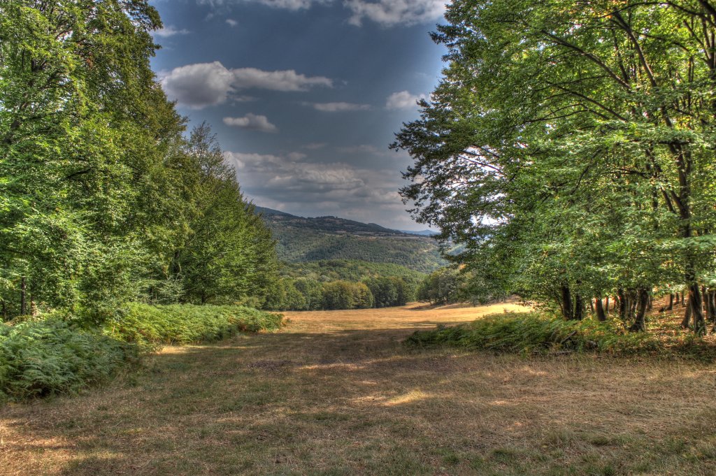Натиснете снимката за да я уголемите

Име:IMG_7381_2_3_tonemapped.jpg
Прегледи:1
Размер:252.2 КБ
ID:6024702