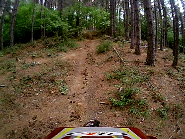 Натиснете снимката за да я уголемите

Име:MOV_0040.AVI_000408695.jpg
Прегледи:1
Размер:222.9 КБ
ID:5515264