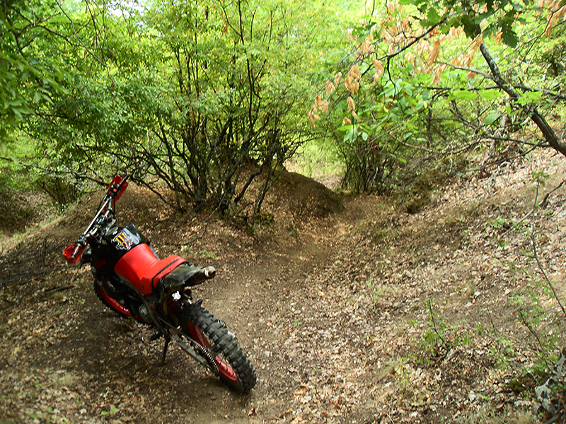 Натиснете снимката за да я уголемите

Име:SDC10230 copy.jpg
Прегледи:1
Размер:811.1 КБ
ID:5515265