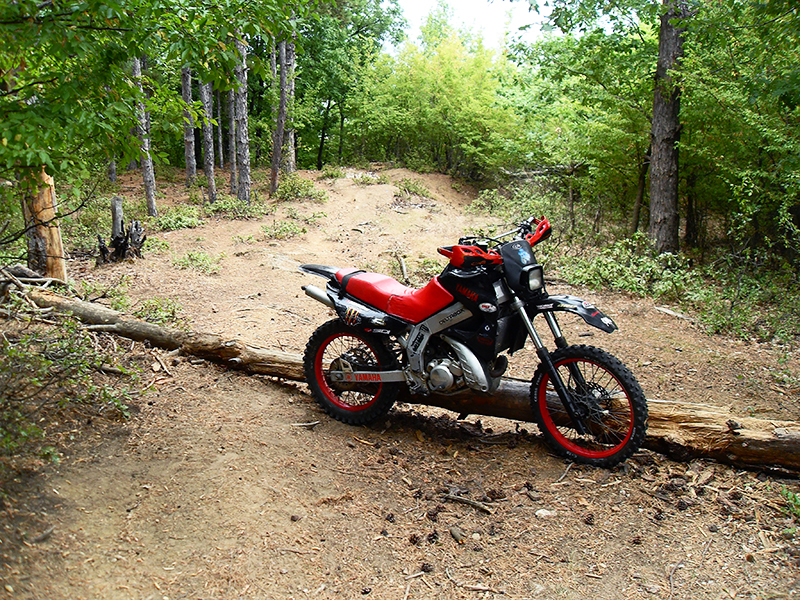 Натиснете снимката за да я уголемите

Име:SDC10232 copy.jpg
Прегледи:1
Размер:843.4 КБ
ID:5515266