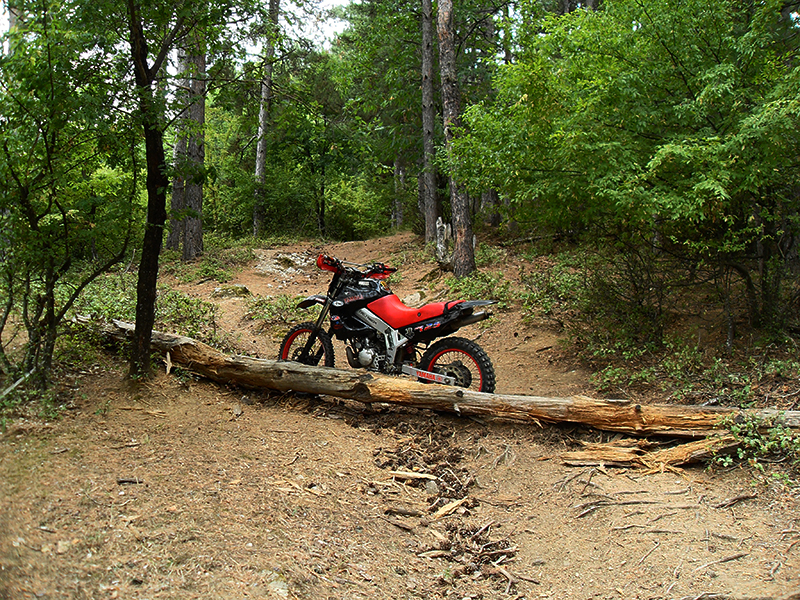 Натиснете снимката за да я уголемите

Име:SDC10233 copy.jpg
Прегледи:1
Размер:859.3 КБ
ID:5515267