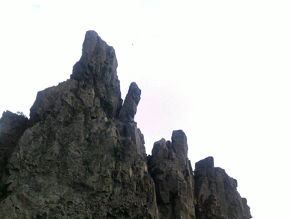 Натиснете снимката за да я уголемите

Име:1003477_129015450641704_1630642985_n.jpg
Прегледи:1
Размер:57.8 КБ
ID:6024841