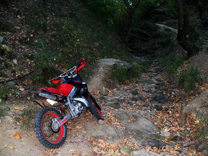 Натиснете снимката за да я уголемите

Име:SDC10248 copy.jpg
Прегледи:1
Размер:550.3 КБ
ID:5516028