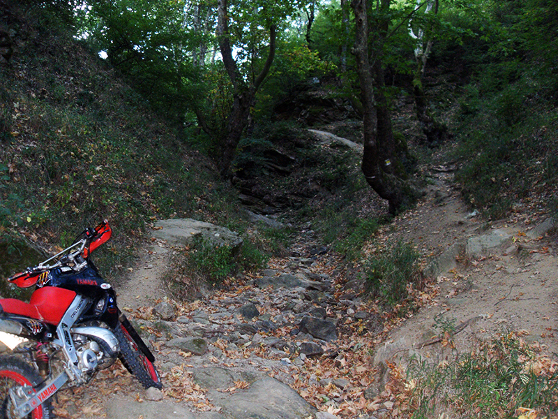 Натиснете снимката за да я уголемите

Име:SDC10249 copy.jpg
Прегледи:1
Размер:733.0 КБ
ID:5516029