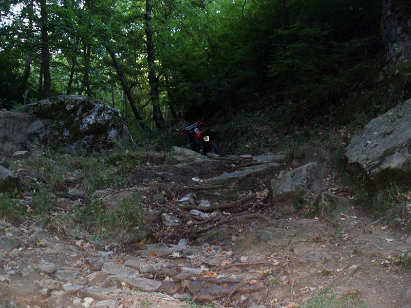 Натиснете снимката за да я уголемите

Име:SDC10251 copy.jpg
Прегледи:1
Размер:630.9 КБ
ID:5516030