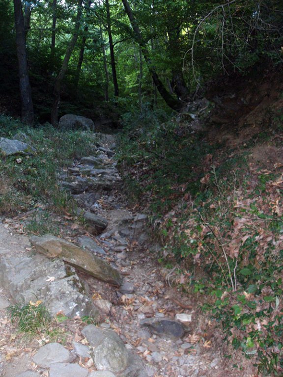 Натиснете снимката за да я уголемите

Име:SDC10253 copy.jpg
Прегледи:1
Размер:124.6 КБ
ID:5516032