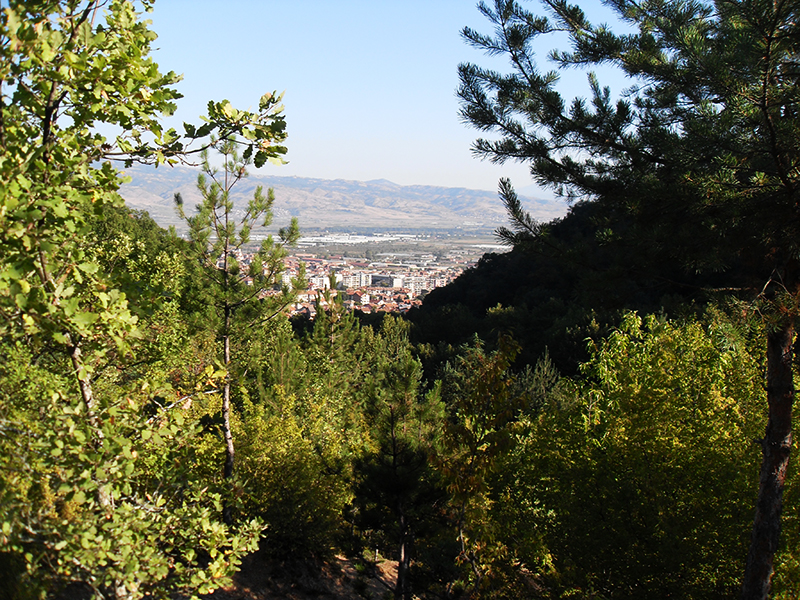 Натиснете снимката за да я уголемите

Име:SDC10256 copy.jpg
Прегледи:1
Размер:695.2 КБ
ID:5516035